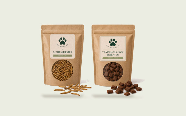 Insektenprotein für Hunde: getrocknete Mehlwürmer und Insekten-Trainingssnack