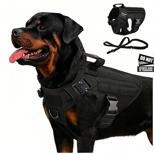 Taktisches Hundegeschirr & Leine im Set