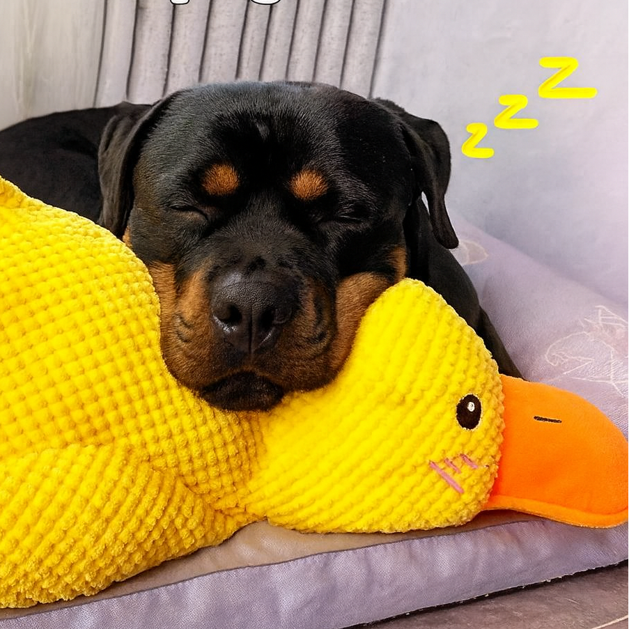 Erich die Ente | Großes Plüsch-Spielzeug