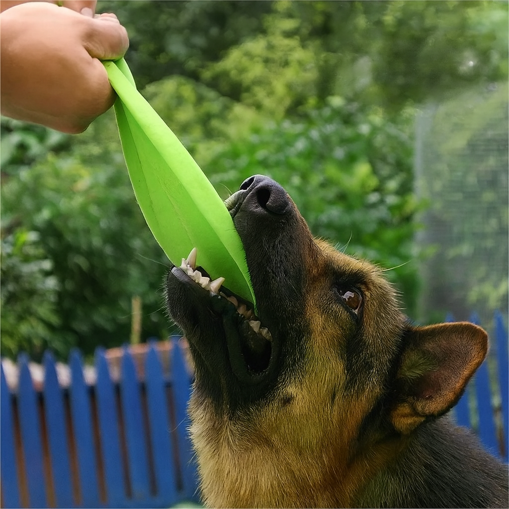 Fritz die Frisbee– Robust, Flexibel & Sicher