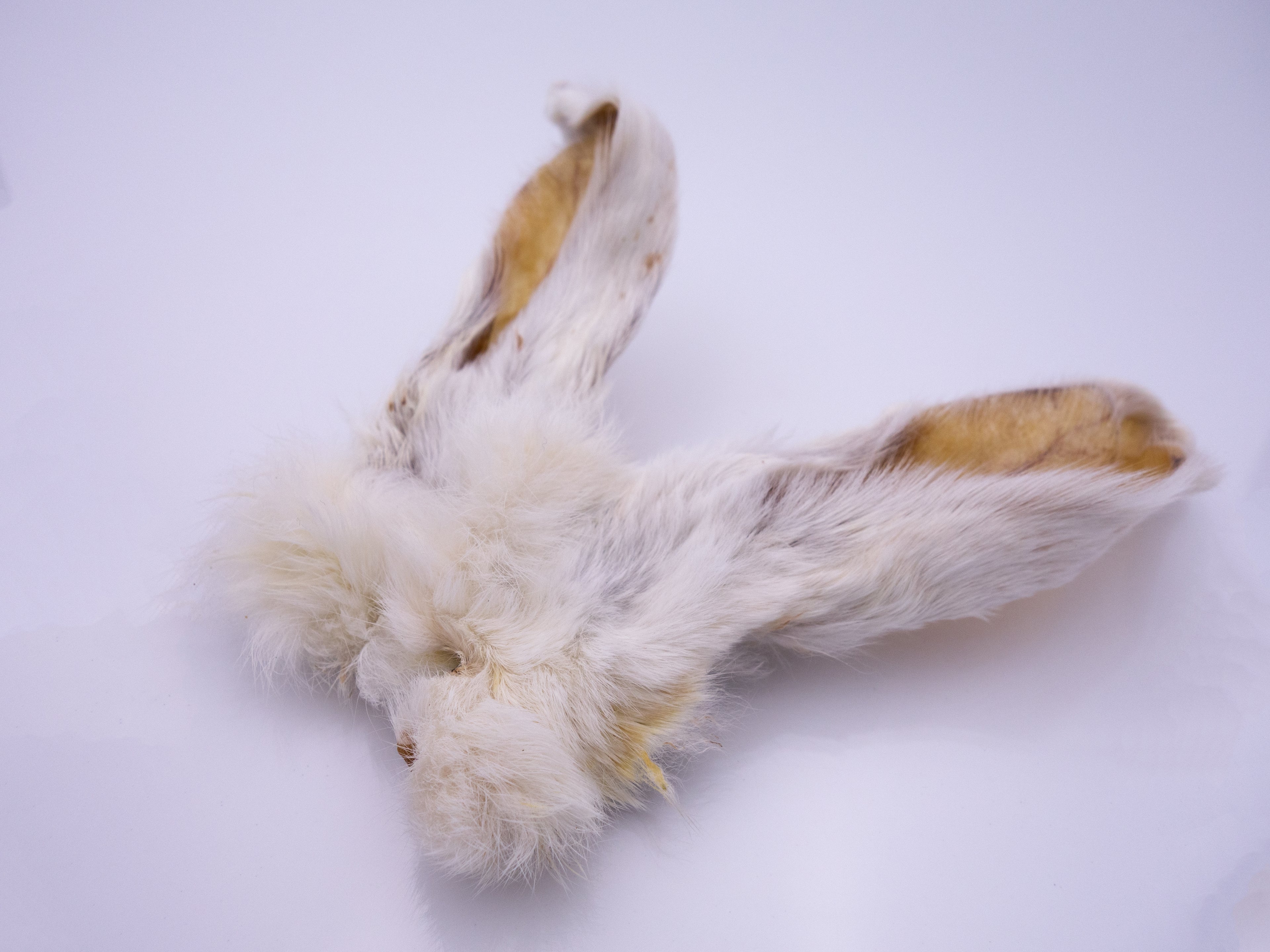 Kaninchenohren mit Fell | Natürlicher & gesunder Kauspaß
