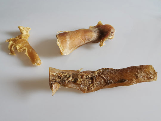 Rinderkopfhaut als natürlicher Kausnack für Hunde