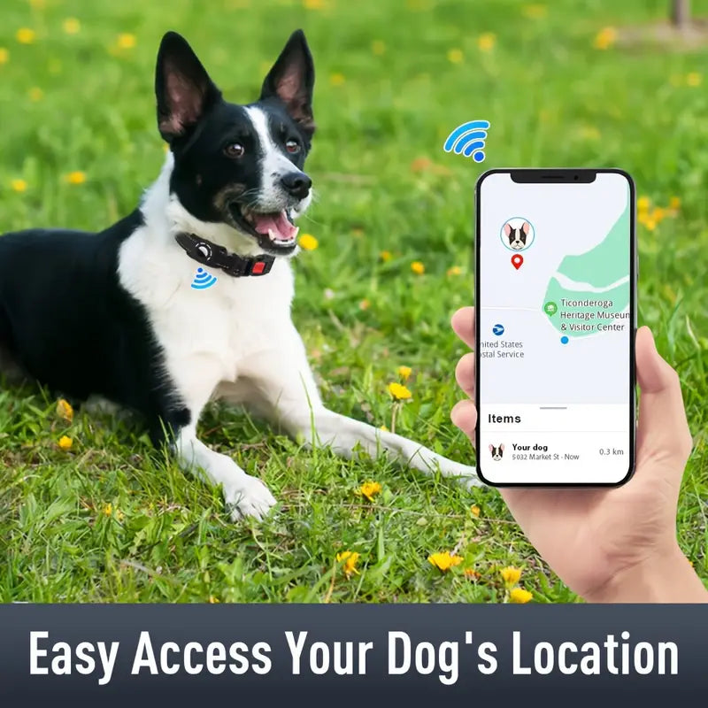 AirTag Hundehalsband – Reflektierendes, gepolstertes Halsband mit AirTag-Halter