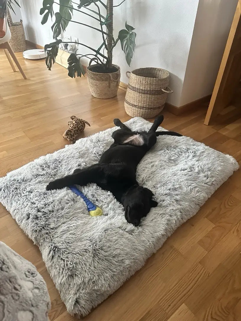 Sir Fluffington | Flauschiges Hundebett