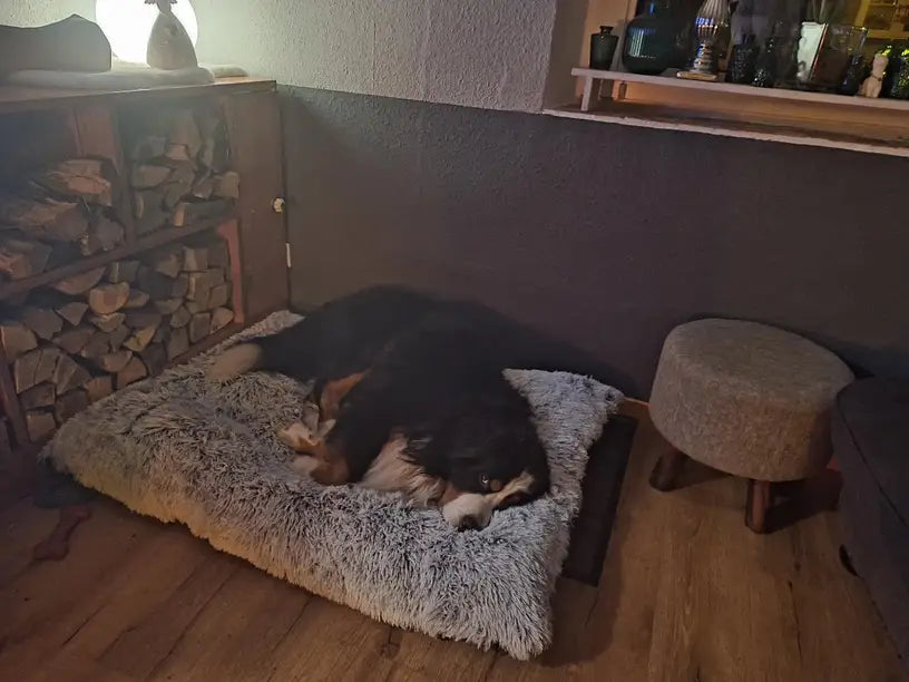 Sir Fluffington | Flauschiges Hundebett