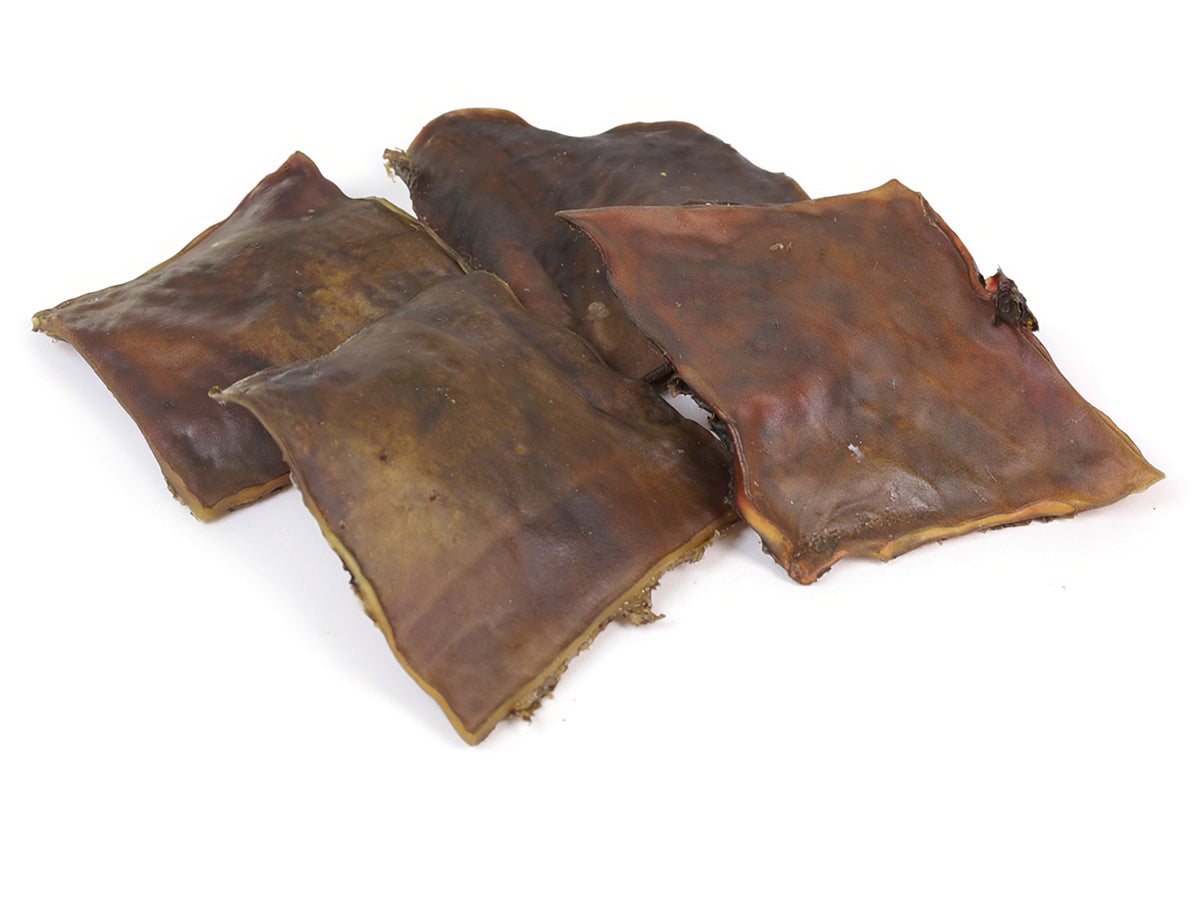 Kamelhaut-Platten als hypoallergener Kausnack für Hunde