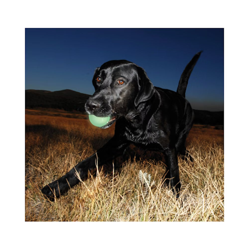 Chuckit! Max Glow Ball | 2er Pack M