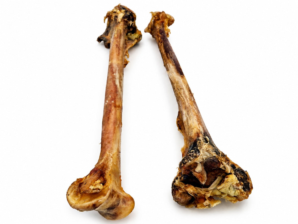 Straußenknochen Unterschenkel, Naturkauknochen für Hunde